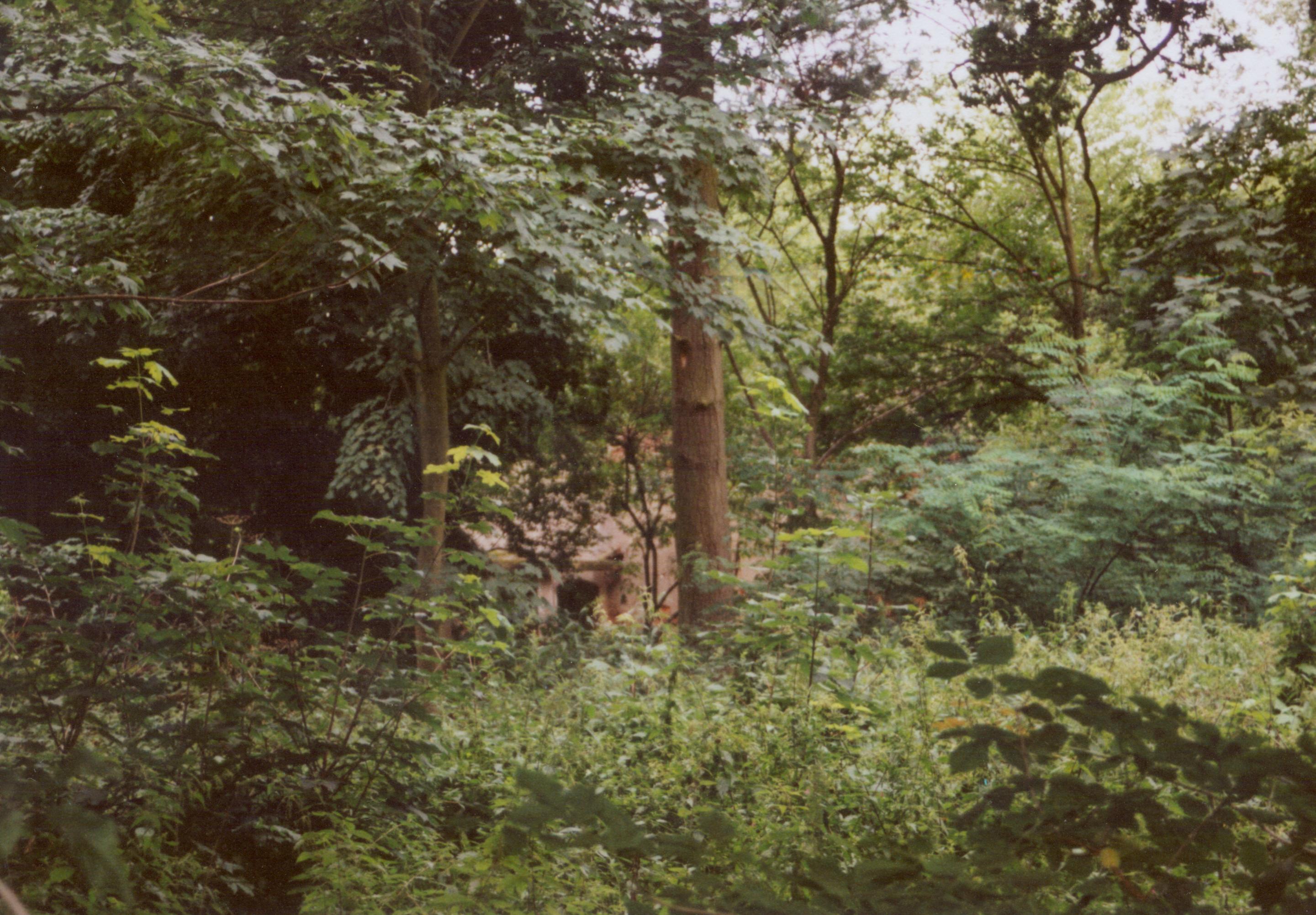 Samlino sierpień 2008- zaniedbały park z ruiną dworu